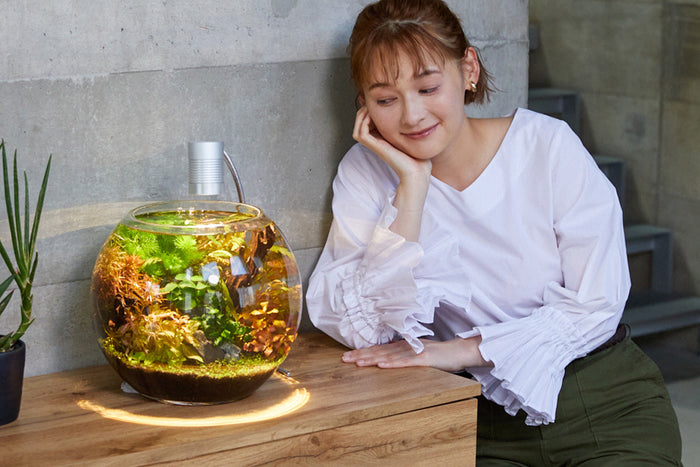 生態系を守るかわいい仲間たち おすすめの魚・エビ・貝