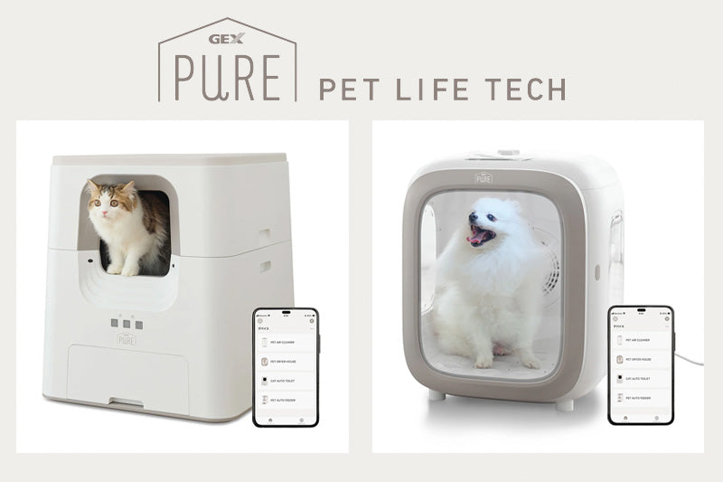 PURE レンタルプランご継続のお客様にお得なご案内