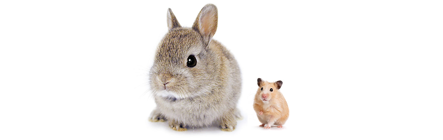 小動物用品パーツ | G-PET Online（ジェックス公式オンライン