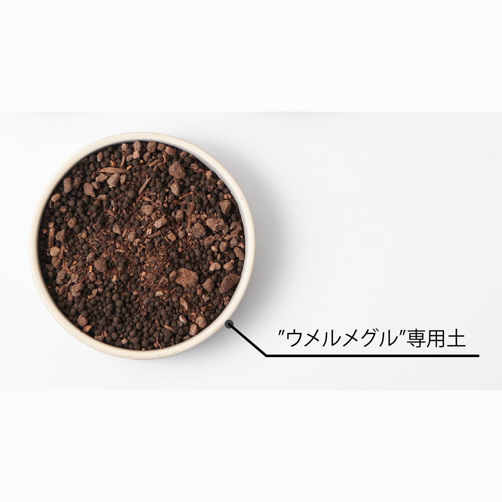 ウメルメグル おやすみソイル #50687