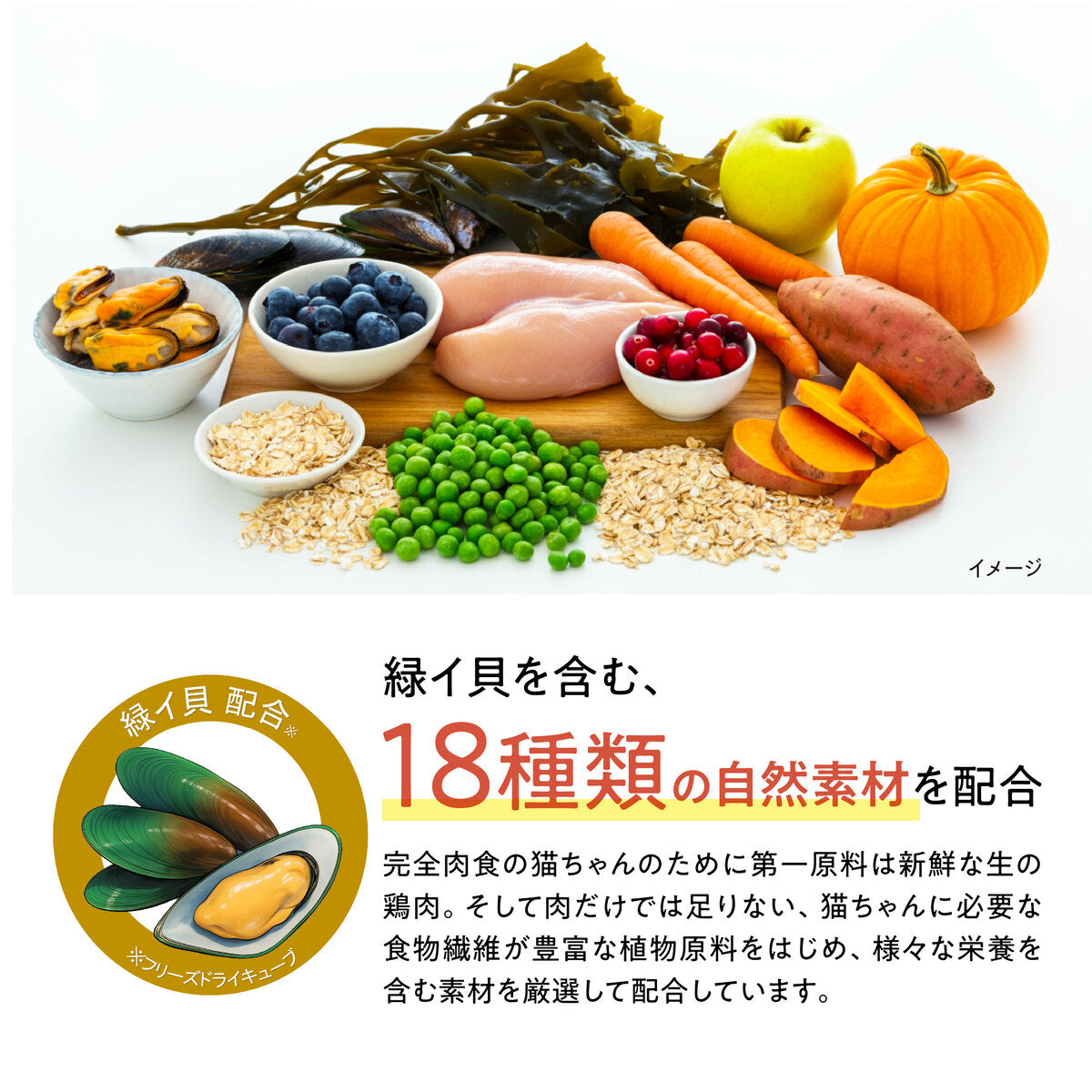 【400g 定期便】Catit Recipes KITTEN 子猫用 生後12ヶ月まで チキン