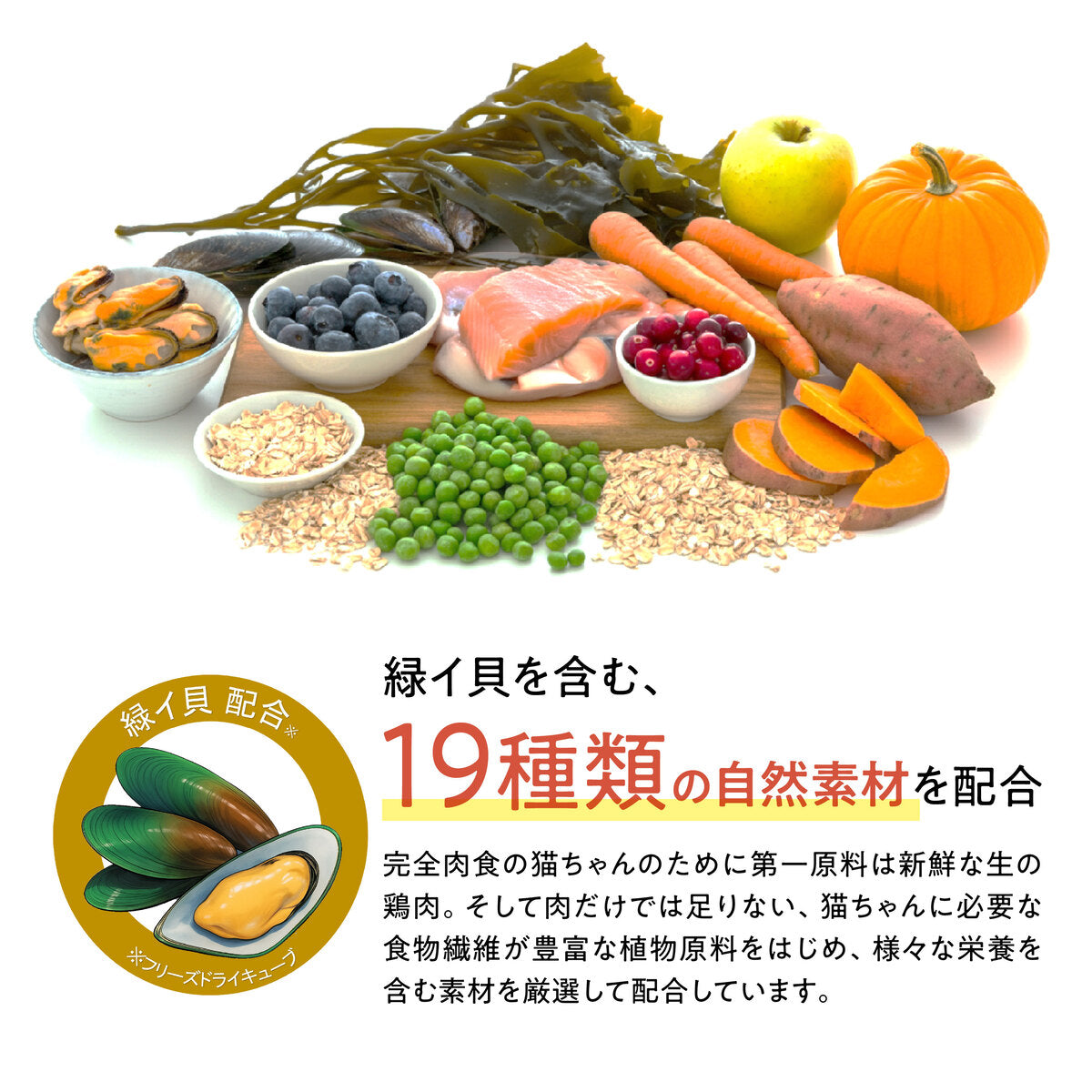 【おまとめ買い】Catit Recipes SKIN&COAT 被毛ケア フィッシュ 4.8kg(400g×12袋)