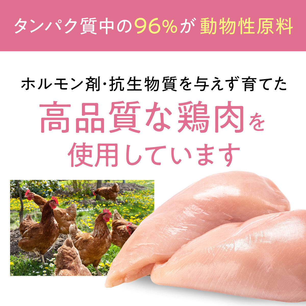 【400g 定期便】Catit Recipes KITTEN 子猫用 生後12ヶ月まで チキン