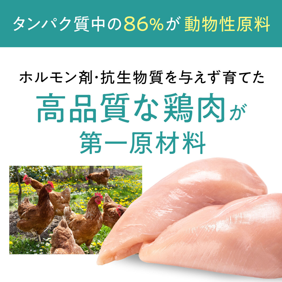 【おまとめ買い】Catit Recipes SENIOR シニア猫用 11歳から4.8㎏ (400g×12袋)