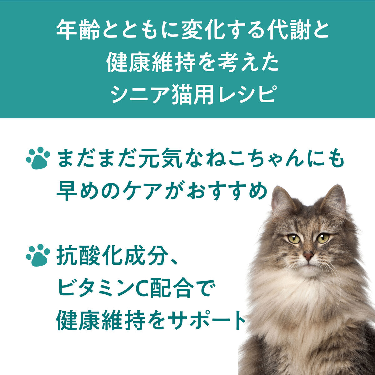 【おまとめ買い】Catit Recipes SENIOR シニア猫用 11歳から4.8㎏ (400g×12袋)