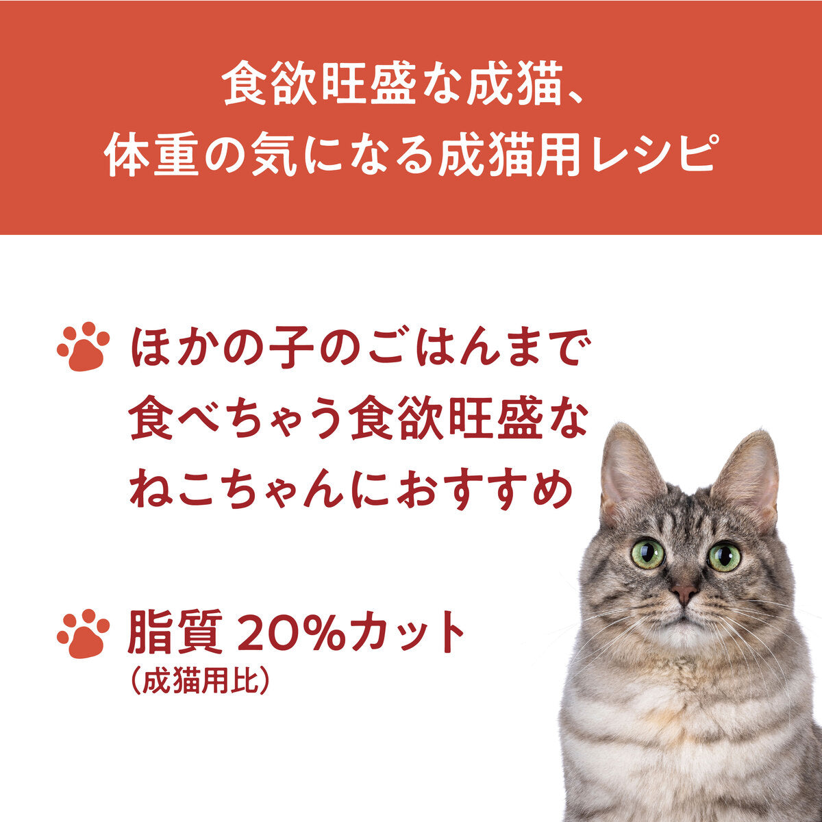 【おまとめ買い】Catit Recipes WEIGHT CONTROL 体重ケア 成猫用 チキン 4.8㎏(400g×12袋)