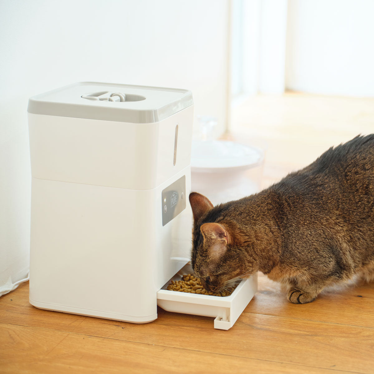 PURE PET AUTO FEEDER ペット用自動給餌器 PPAF01-WH