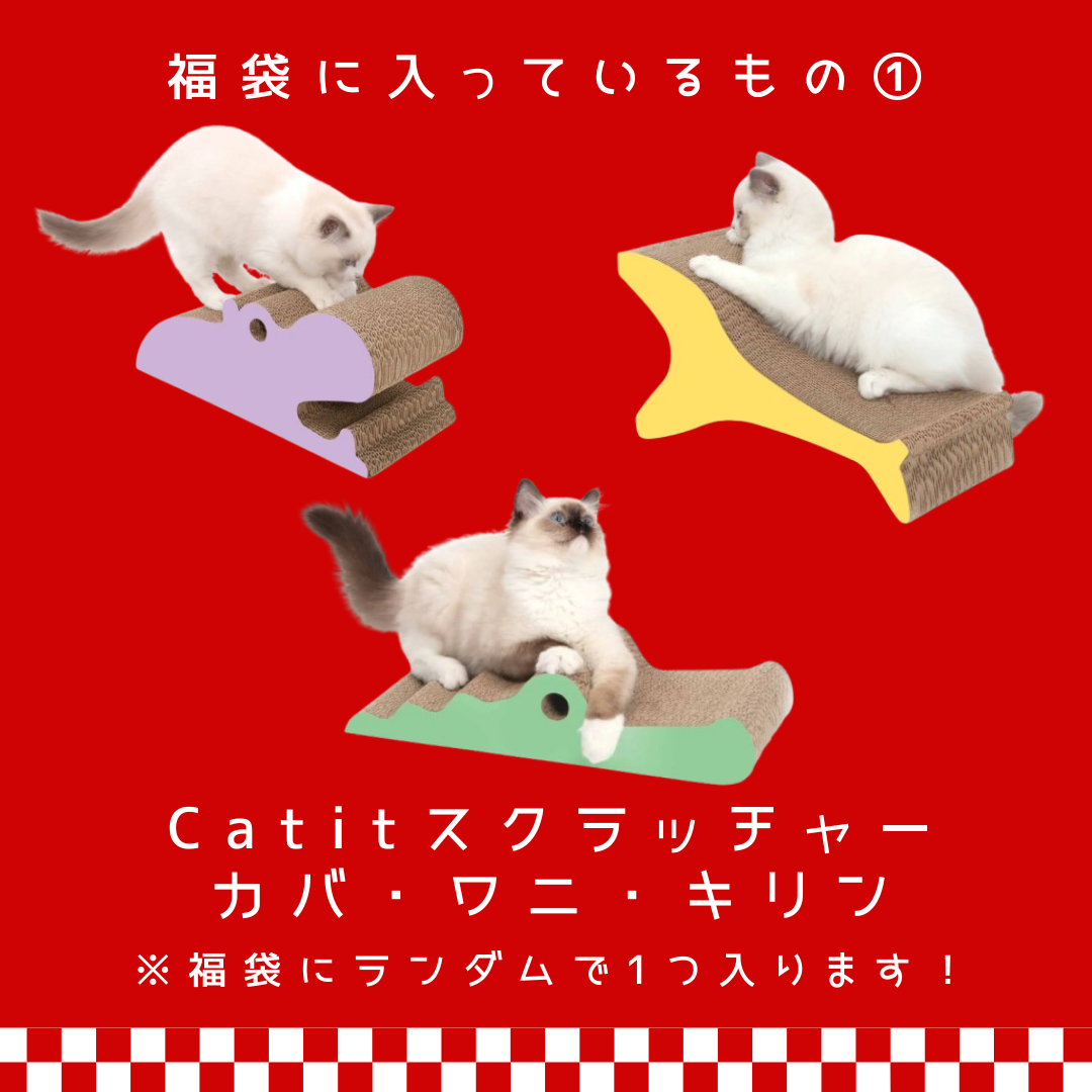 【終売】【福袋】Catitお楽しみ福袋 ランダム爪とぎ1つ入り ※数量限定
