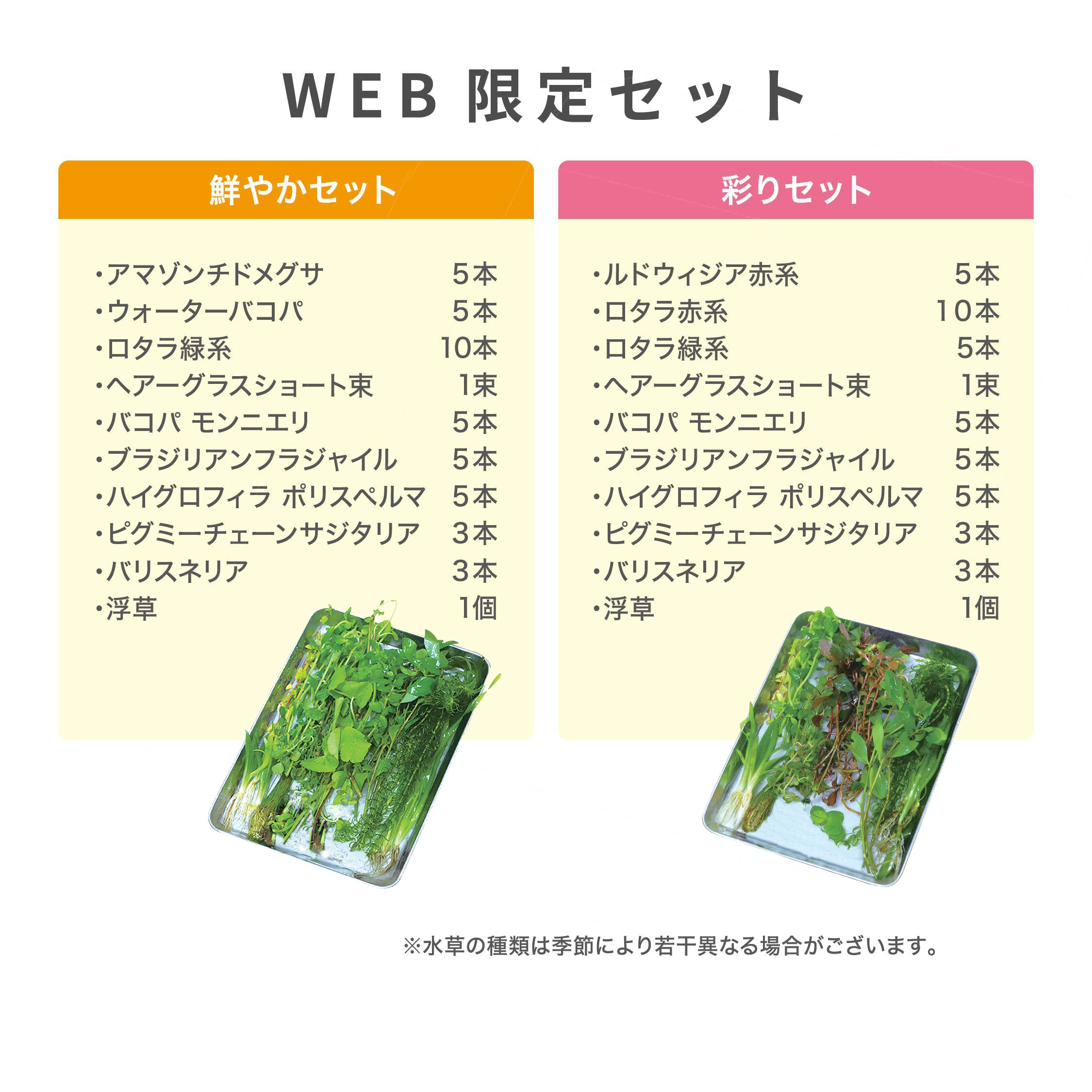 新鮮水草 10種 約50本『鮮やかセット』 *