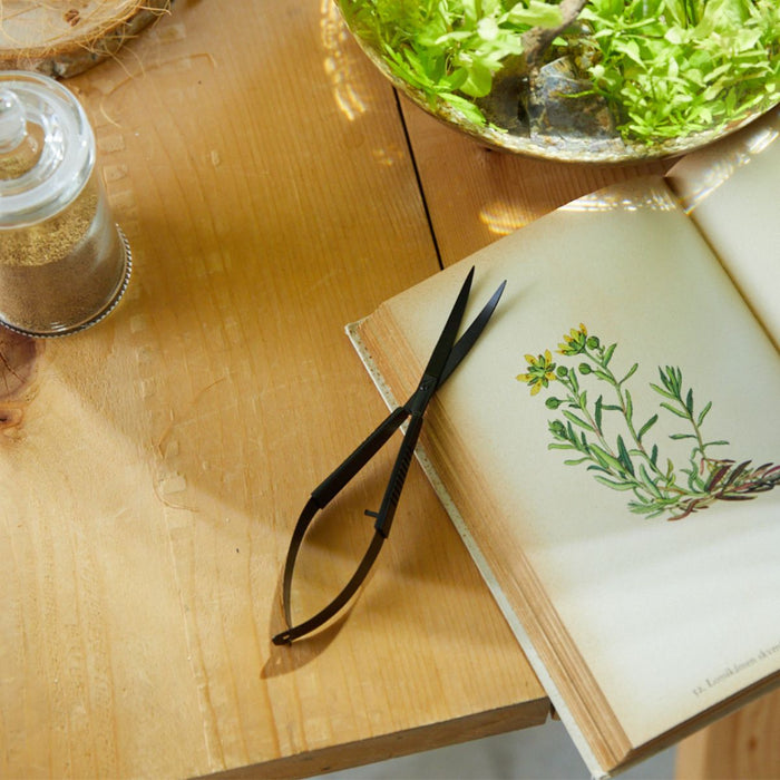 水草を切るハサミ *