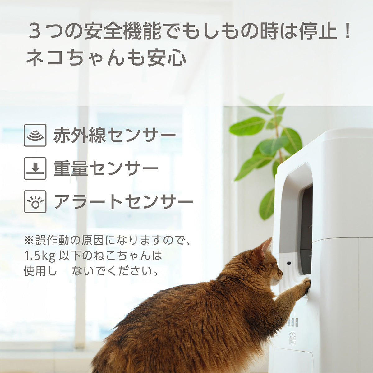<月額2,500円で新品をお試し!>PURE CAT AUTO TOILET 猫用 全自動トイレ レンタルプラン