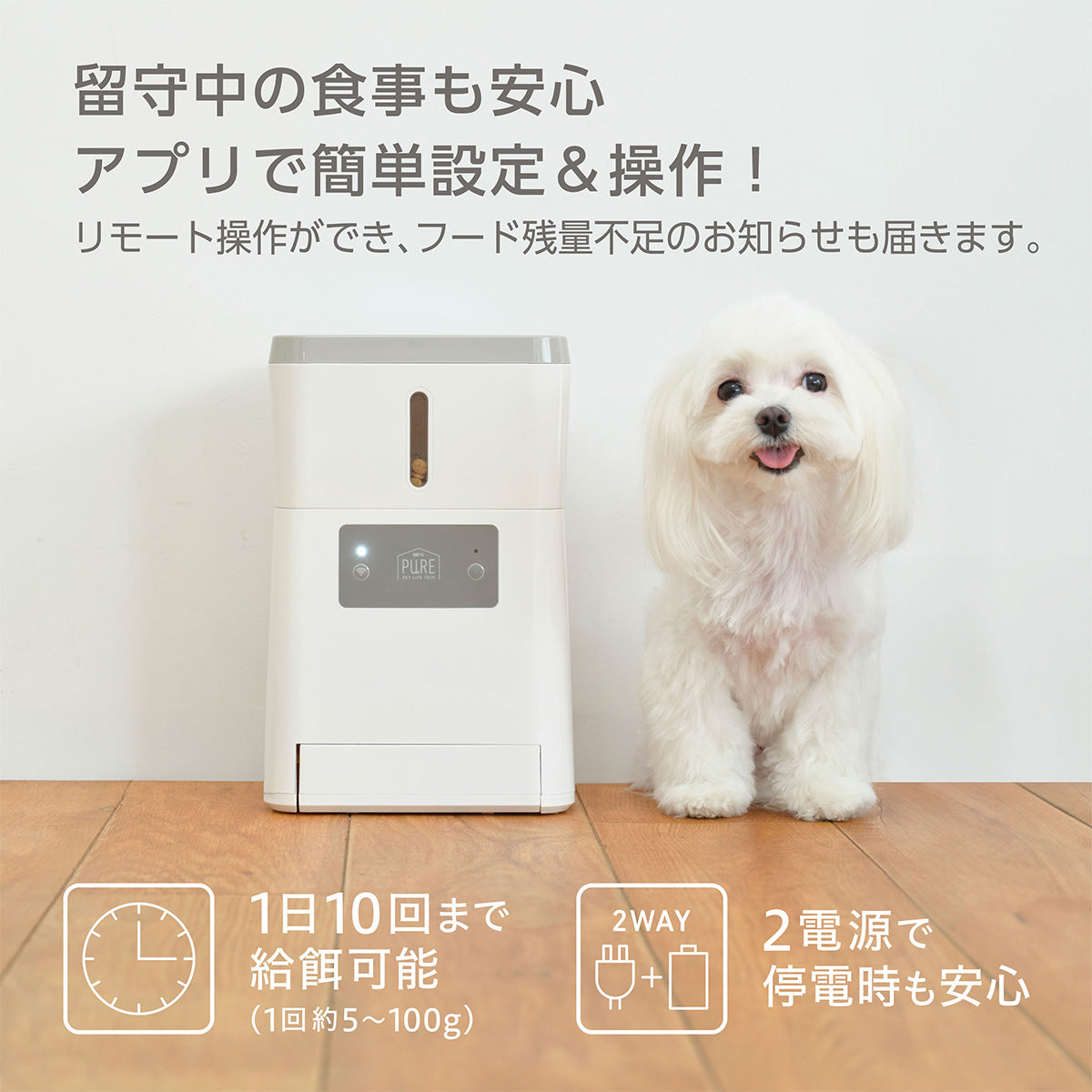 PURE PET AUTO FEEDER ペット用自動給餌器 PPAF01-WH