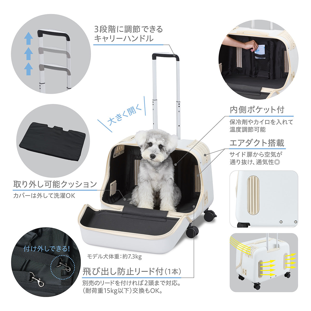 OSOTO コロフィー L ミルク
