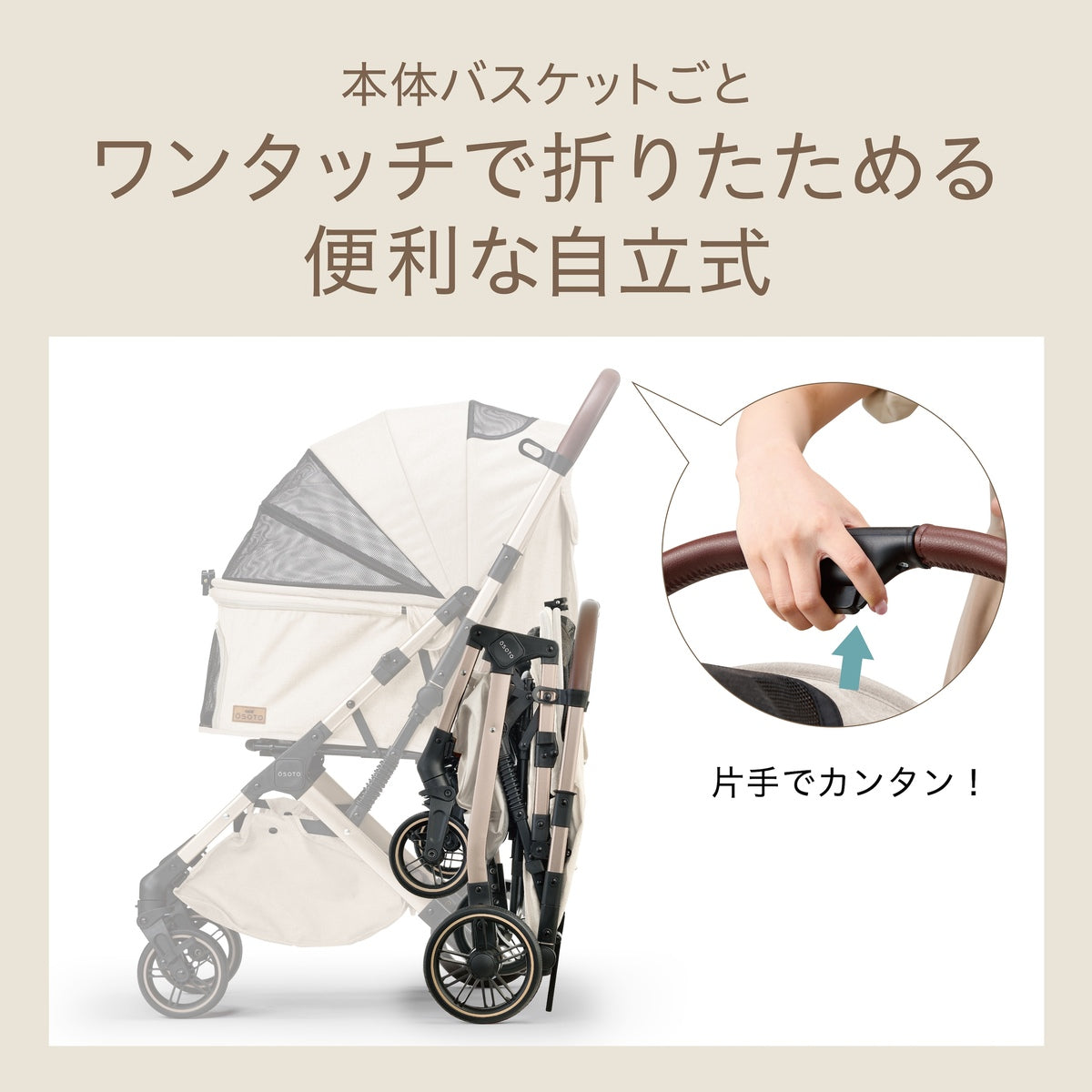 OSOTO GRACE QCⅡ シュクレ
