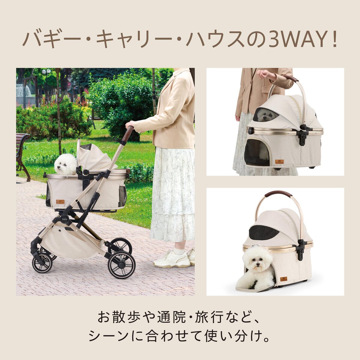 OSOTO GRACE RCⅡ シュクレ