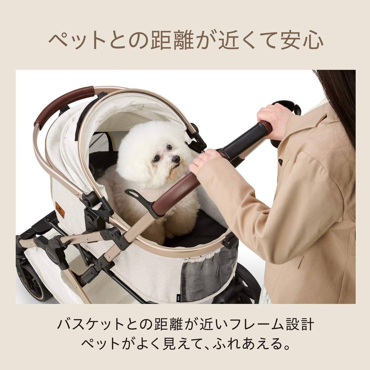 OSOTO GRACE RCⅡ シュクレ