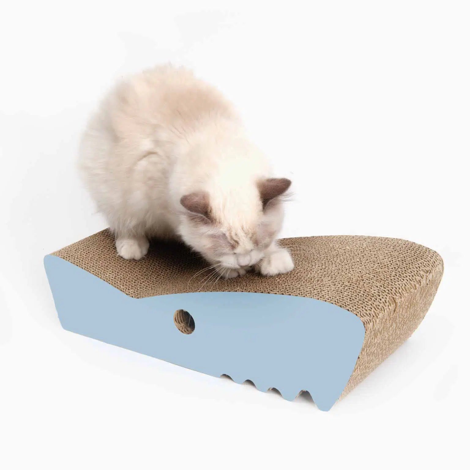 Catit Flat Zoo Scratchers Shark/Catitスクラッチャーフラットサメ