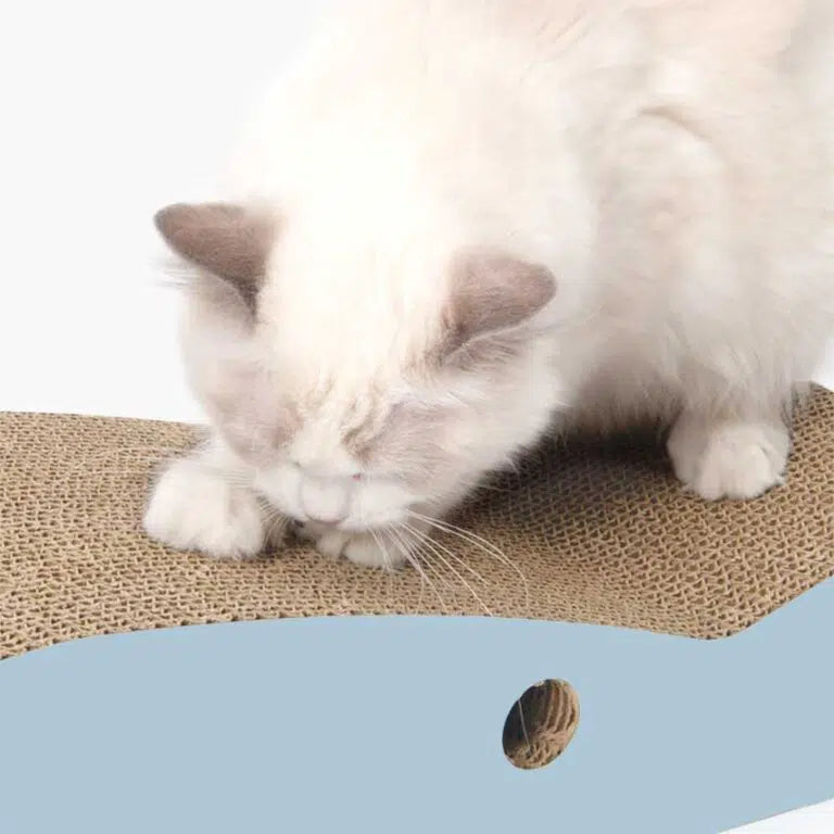 Catit Flat Zoo Scratchers Shark/Catitスクラッチャーフラットサメ