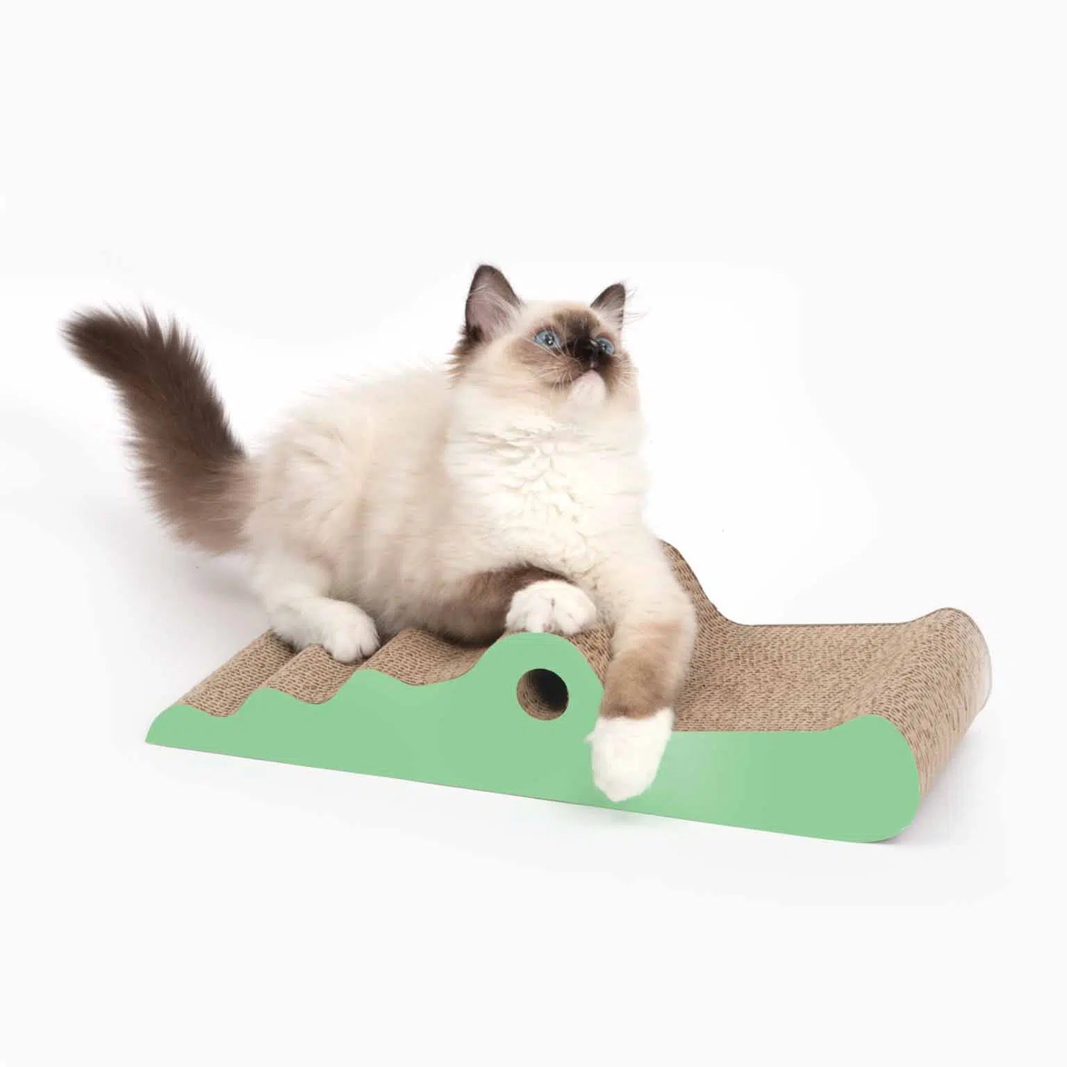 Catit Flat Zoo Scratchers Crocodile/Catitスクラッチャーフラットワニ