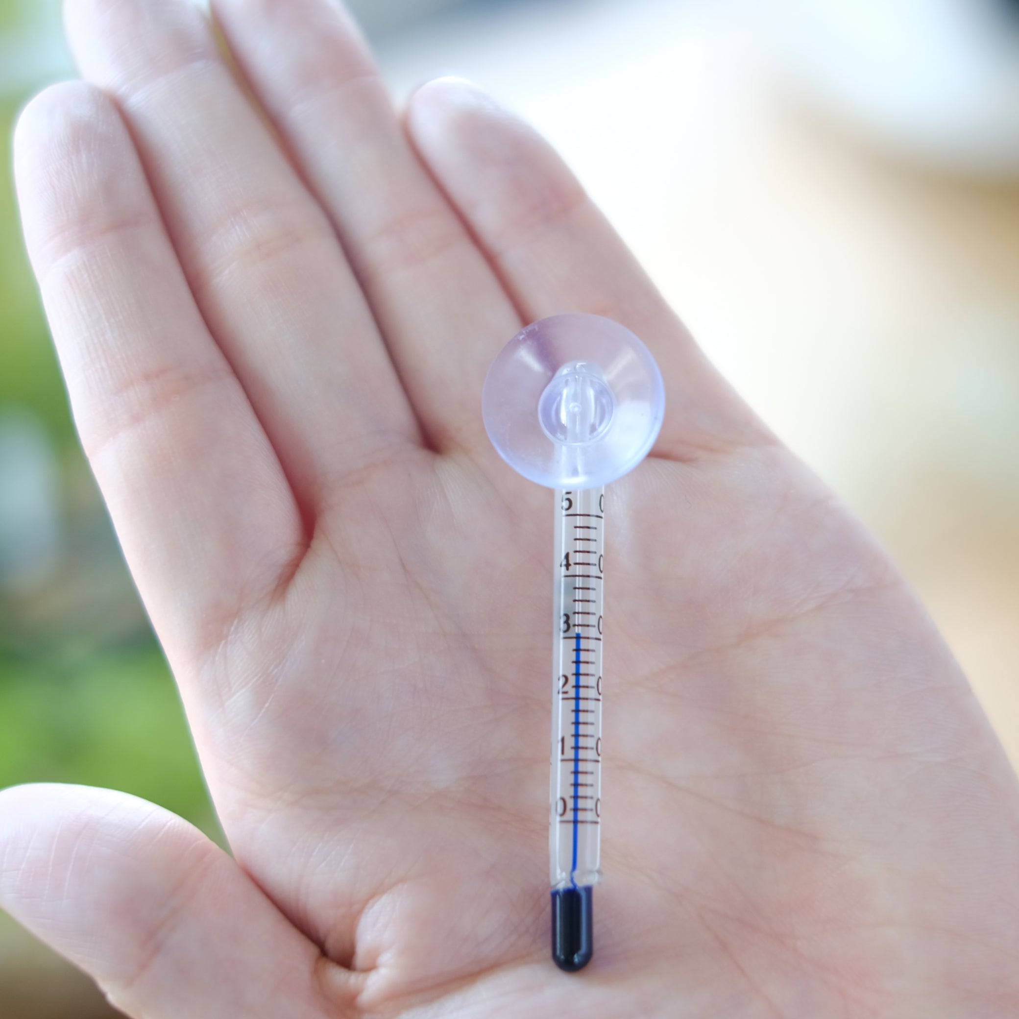 ちっちゃな水温計 ガラス製 *