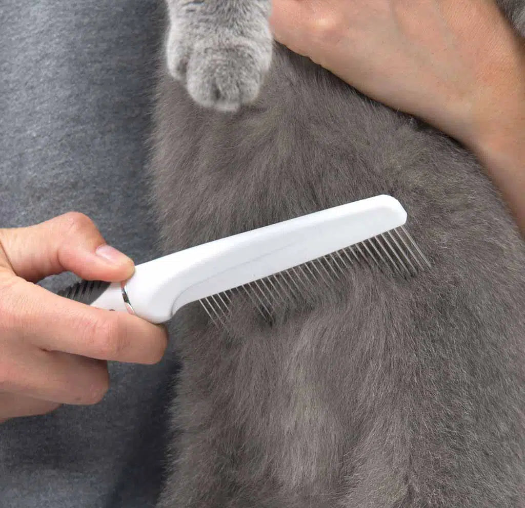 Catit Shorthair Grooming Kit/CatitグルーミングキットShortH