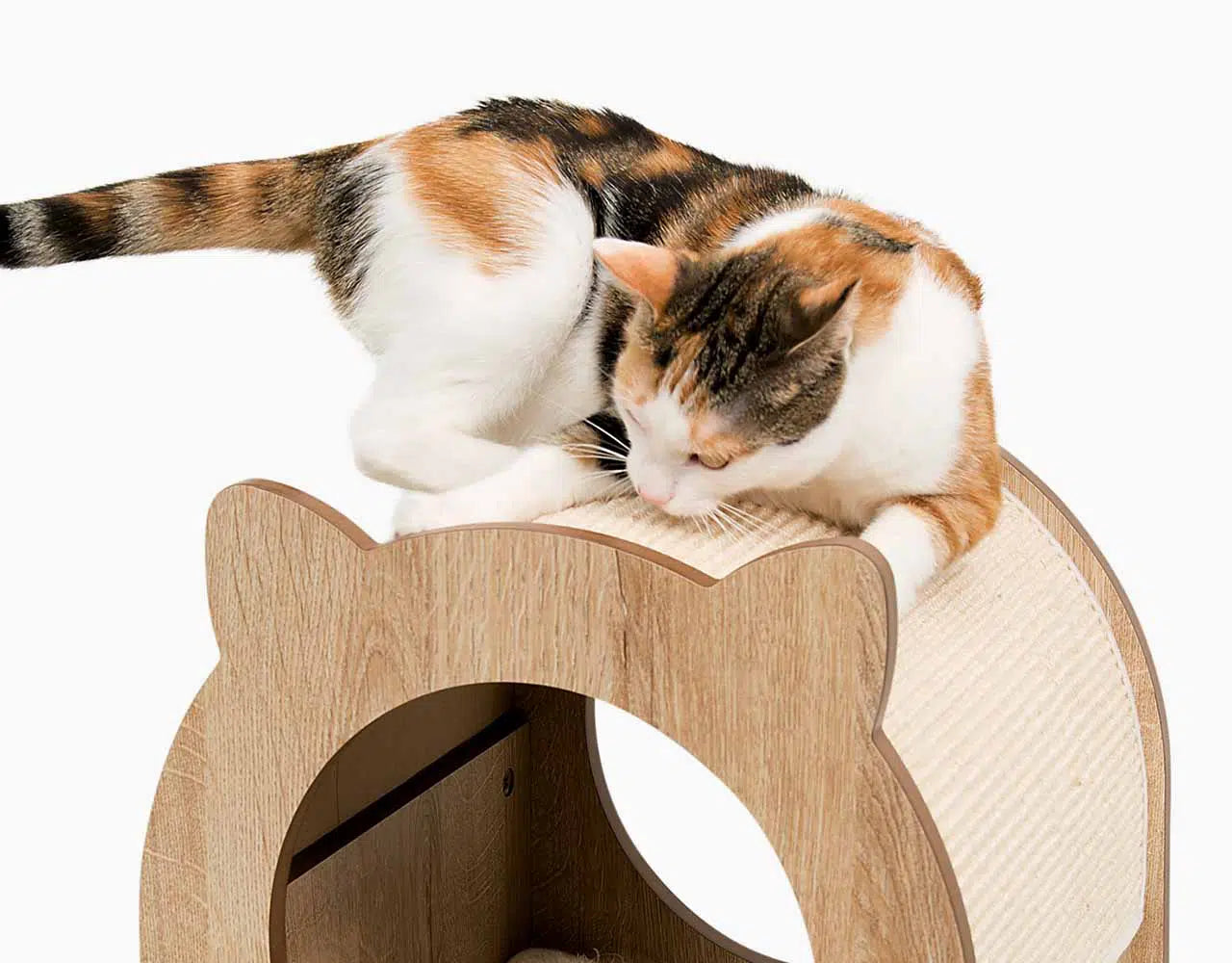 Catit Vesper Minou/Catit Vesper ミヌ―