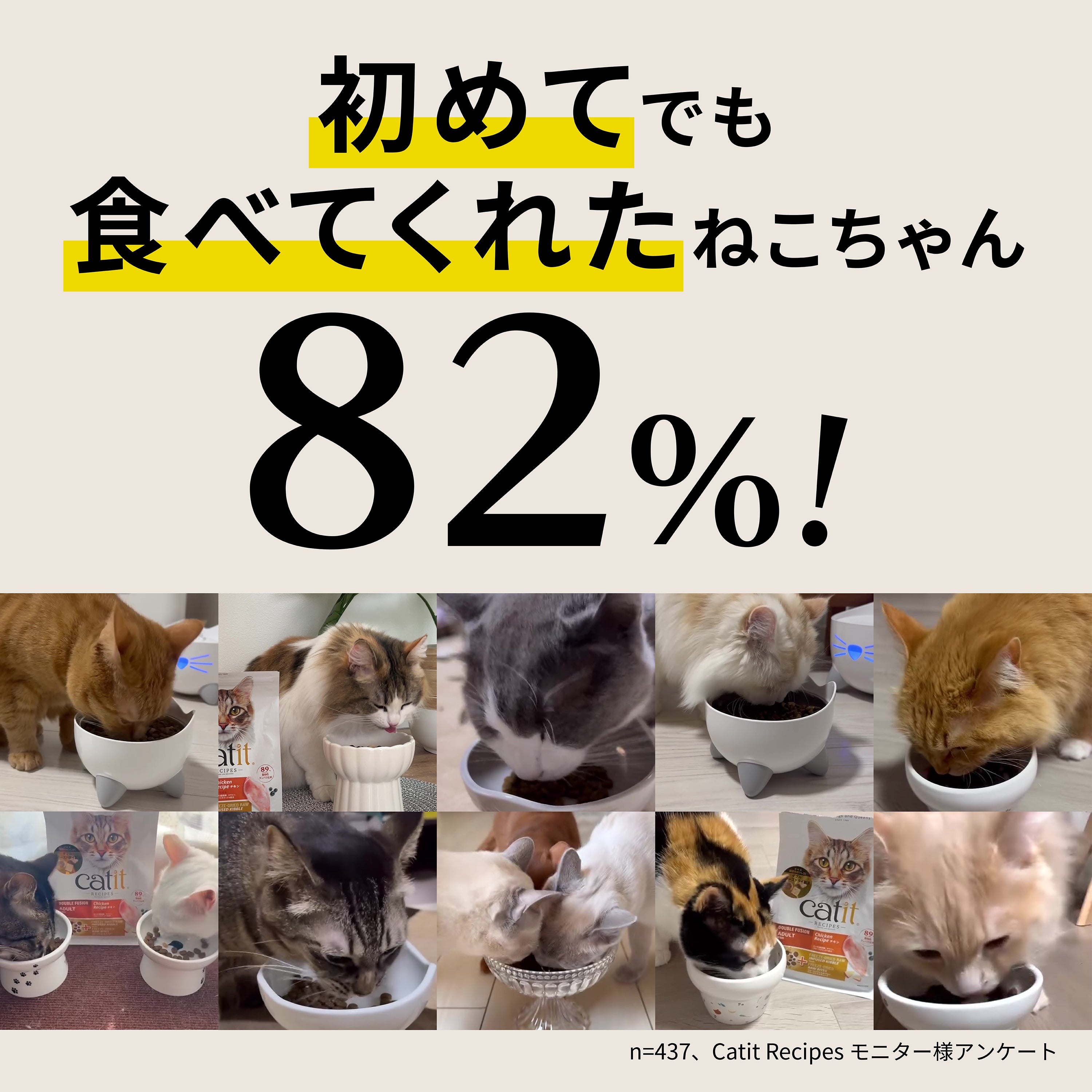 【400g 定期便】Catit Recipes KITTEN 子猫用 生後12ヶ月まで チキン