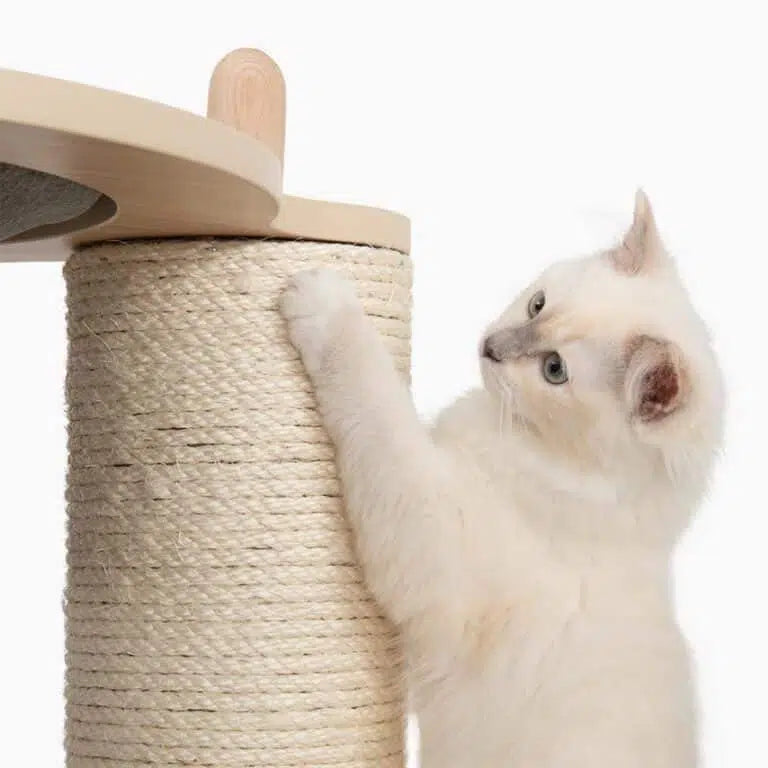 Catit Vesper Treehouse Small/Catit Vesper ツリーハウスS