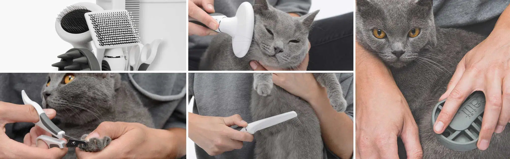 Catit Shorthair Grooming Kit/CatitグルーミングキットShortH