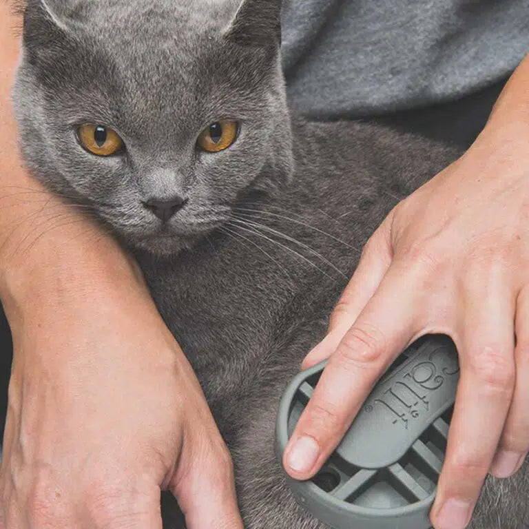 Catit Shorthair Grooming Kit/CatitグルーミングキットShortH