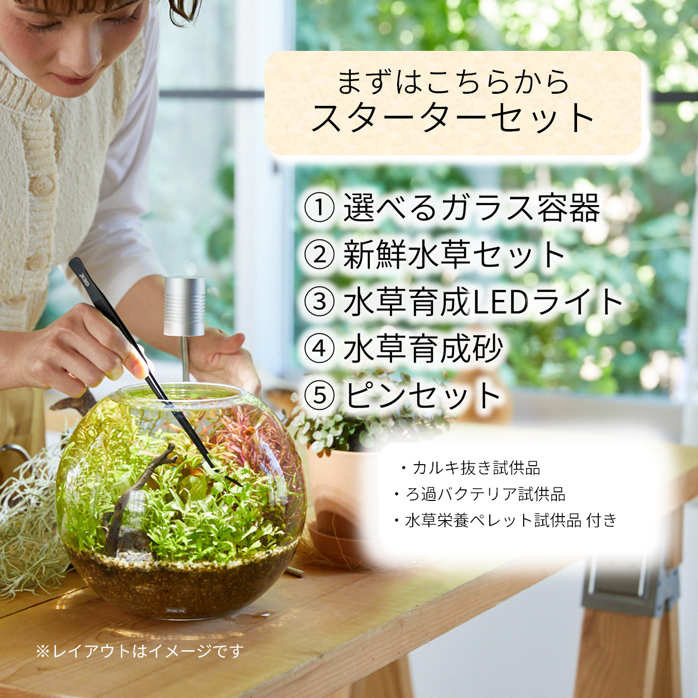 ちいさな自然と暮らす 選べる!はじめてのボトルアクアセット *