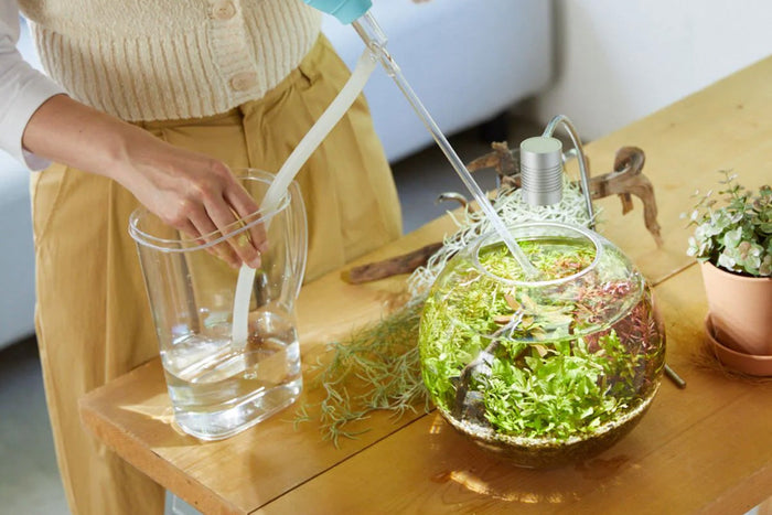 定期的な水換えで美しい自然をキープ！ボトルアクアの水換え方法