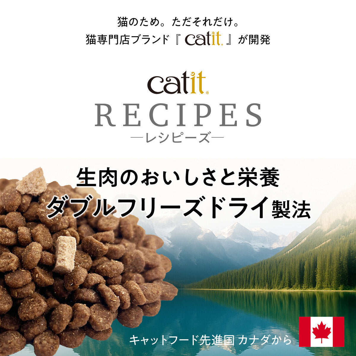 【おまとめ買い】Catit Recipes KITTEN 子猫用 生後12ヶ月まで  4.8kg（400g×12袋）