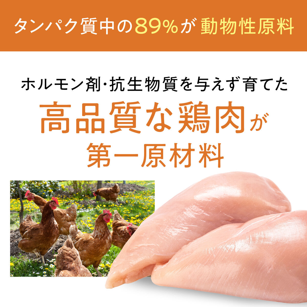 Catit Recipes ADULT 成猫用 チキン 400g/1.5kg