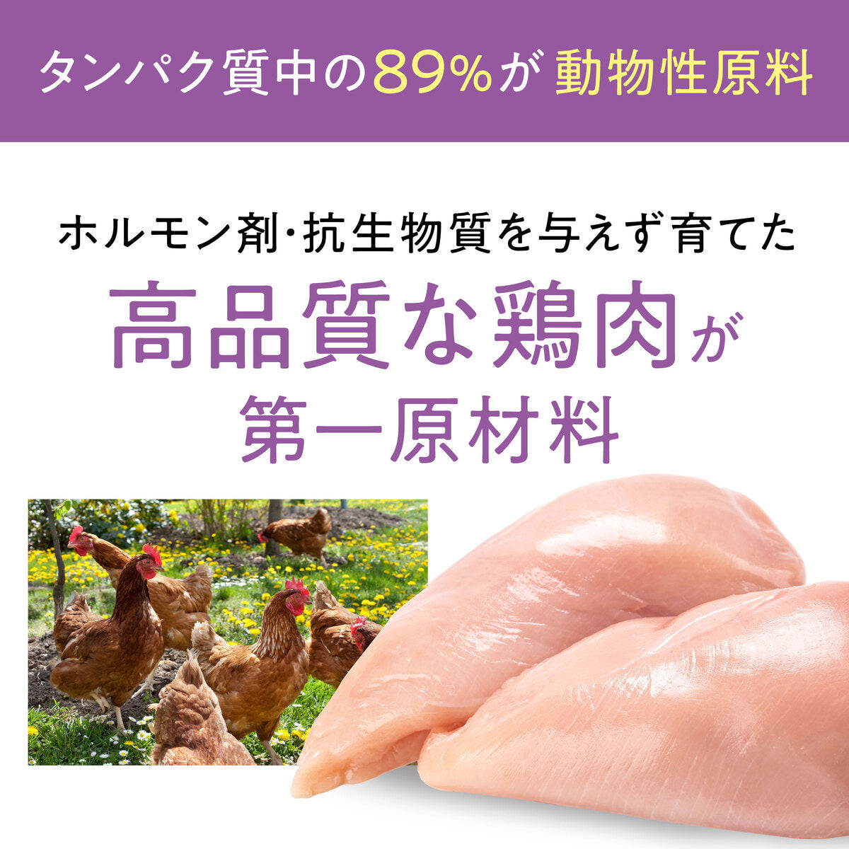 【おまとめ買い】Catit Recipes INDOOR 室内猫用 チキン 4.8㎏（400g×12袋）