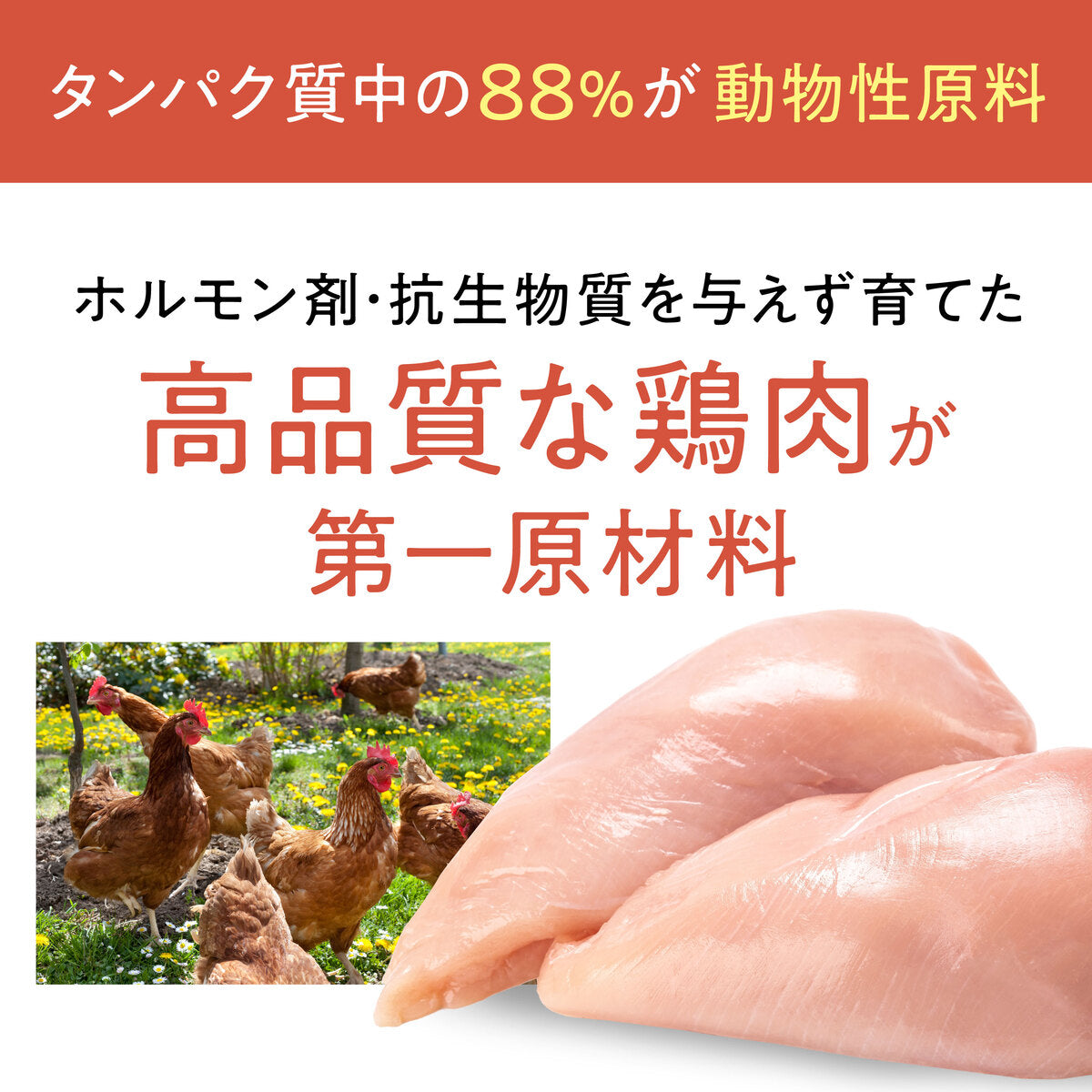 【おまとめ買い】Catit Recipes WEIGHT CONTROL  体重ケア 成猫用 チキン 4.8㎏（400g×12袋）