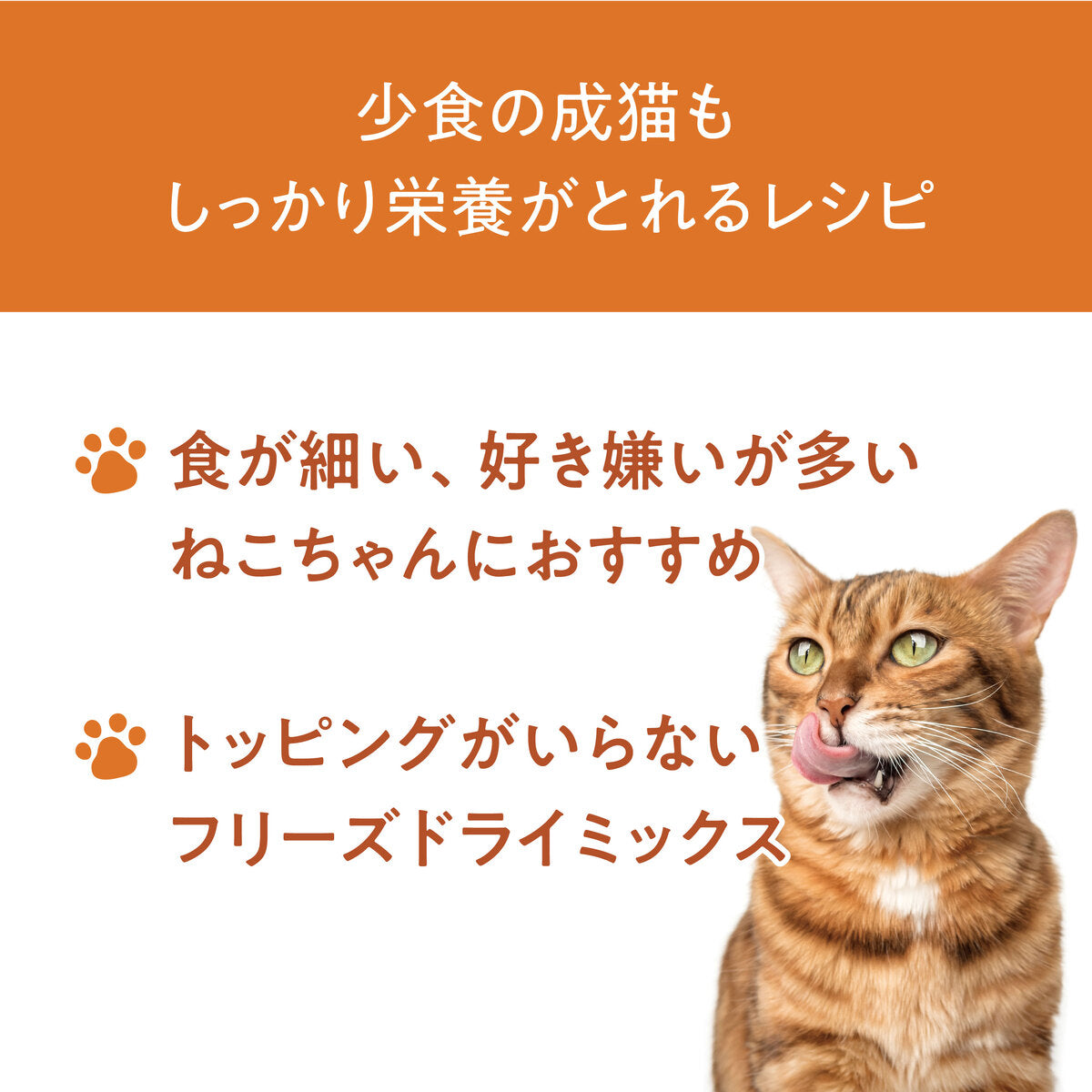【おためしセット】Catit Recipes ADULT 成猫用 チキン（30g×5袋）