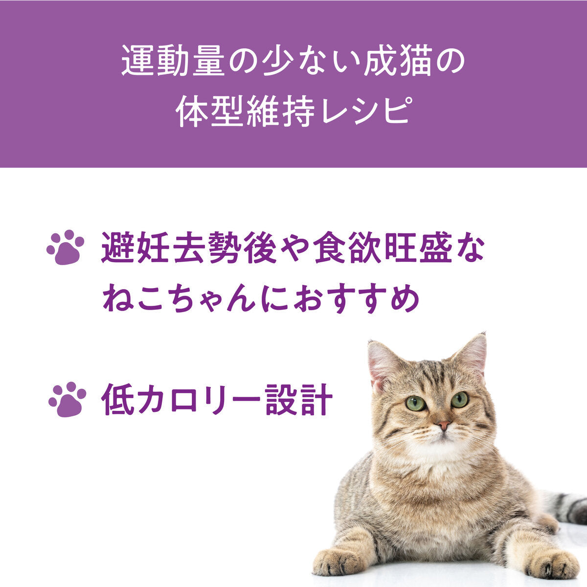 【おまとめ買い】Catit Recipes INDOOR 室内猫用 チキン 4.8㎏（400g×12袋）
