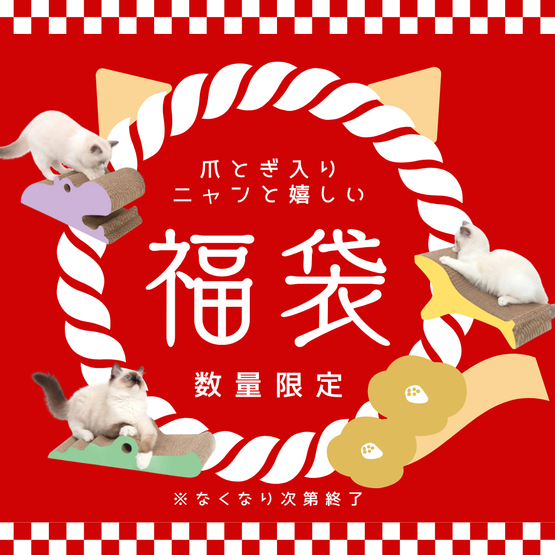 【終売】【福袋】Catitお楽しみ福袋 ランダム爪とぎ1つ入り ※数量限定