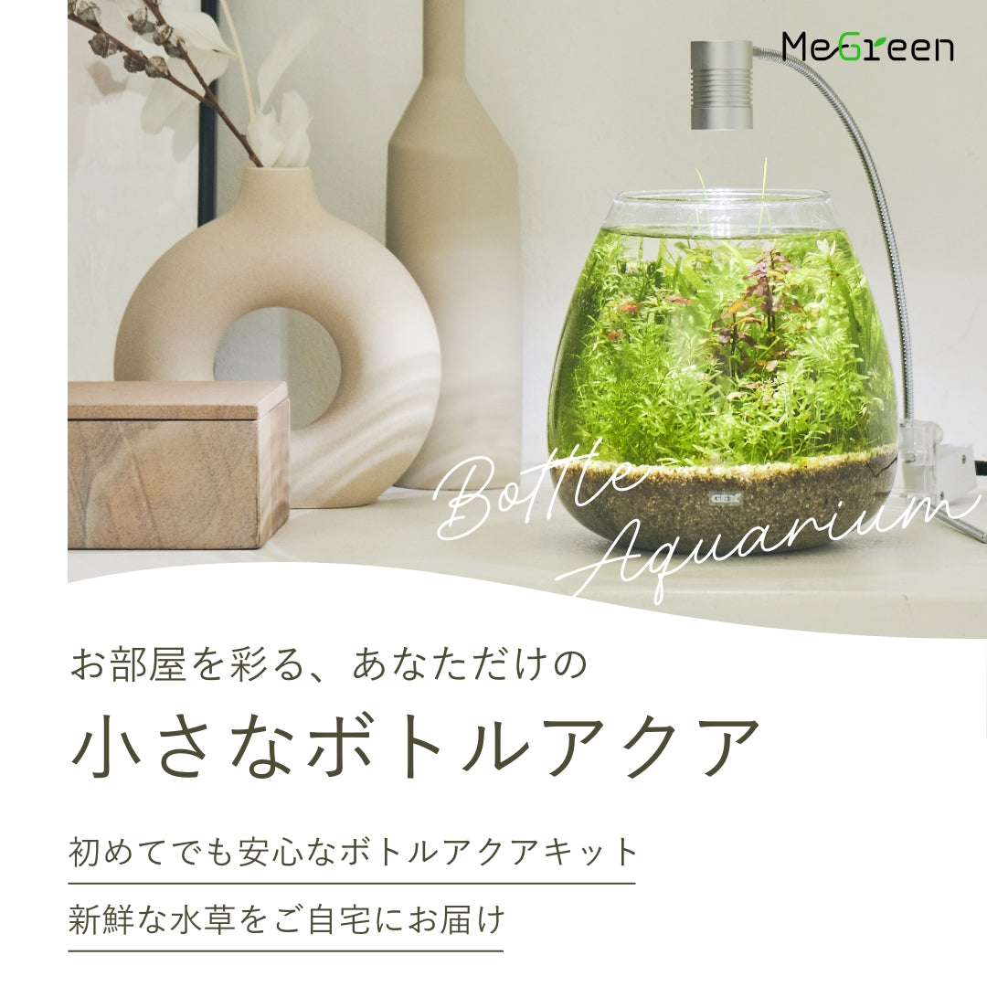 ◾︎ 専用です ◾︎ G-PET Online | ジェックス 公式オンラインショップ