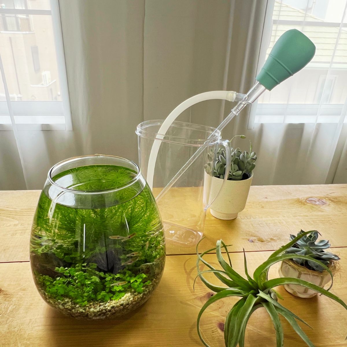 お水換えの必需品 水抜き＆おそうじ同時ポンプ *