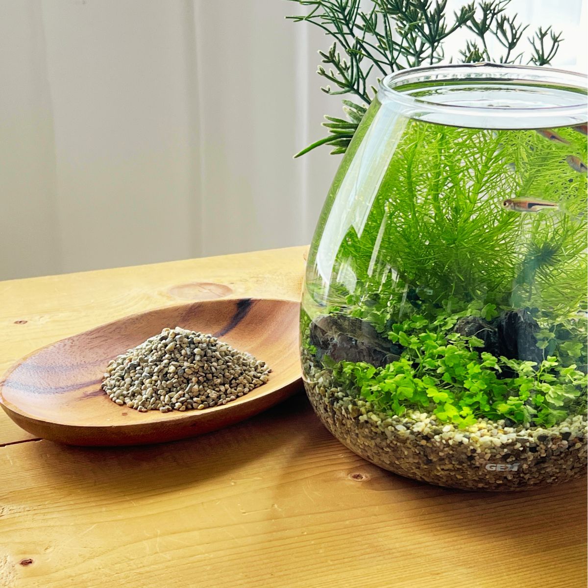 水洗いのいらない 水草を育てる専用砂 2kg *
