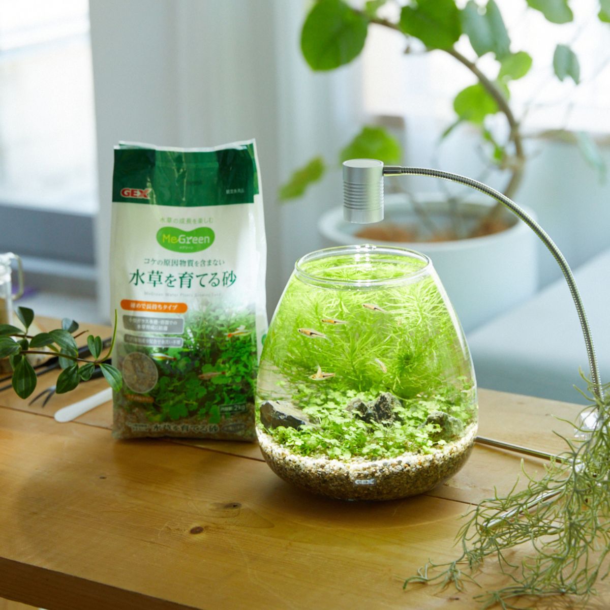 水洗いのいらない 水草を育てる専用砂 2kg *