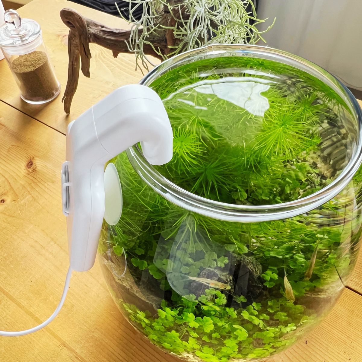 水温を下げるボトルアクア用クールファン *