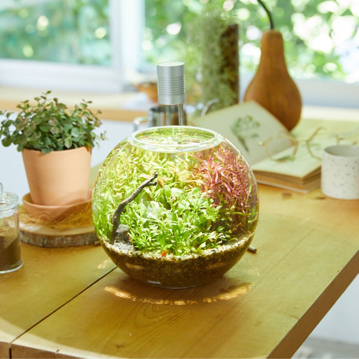 ボトルアクア ガラス容器 球形 約4.5L *