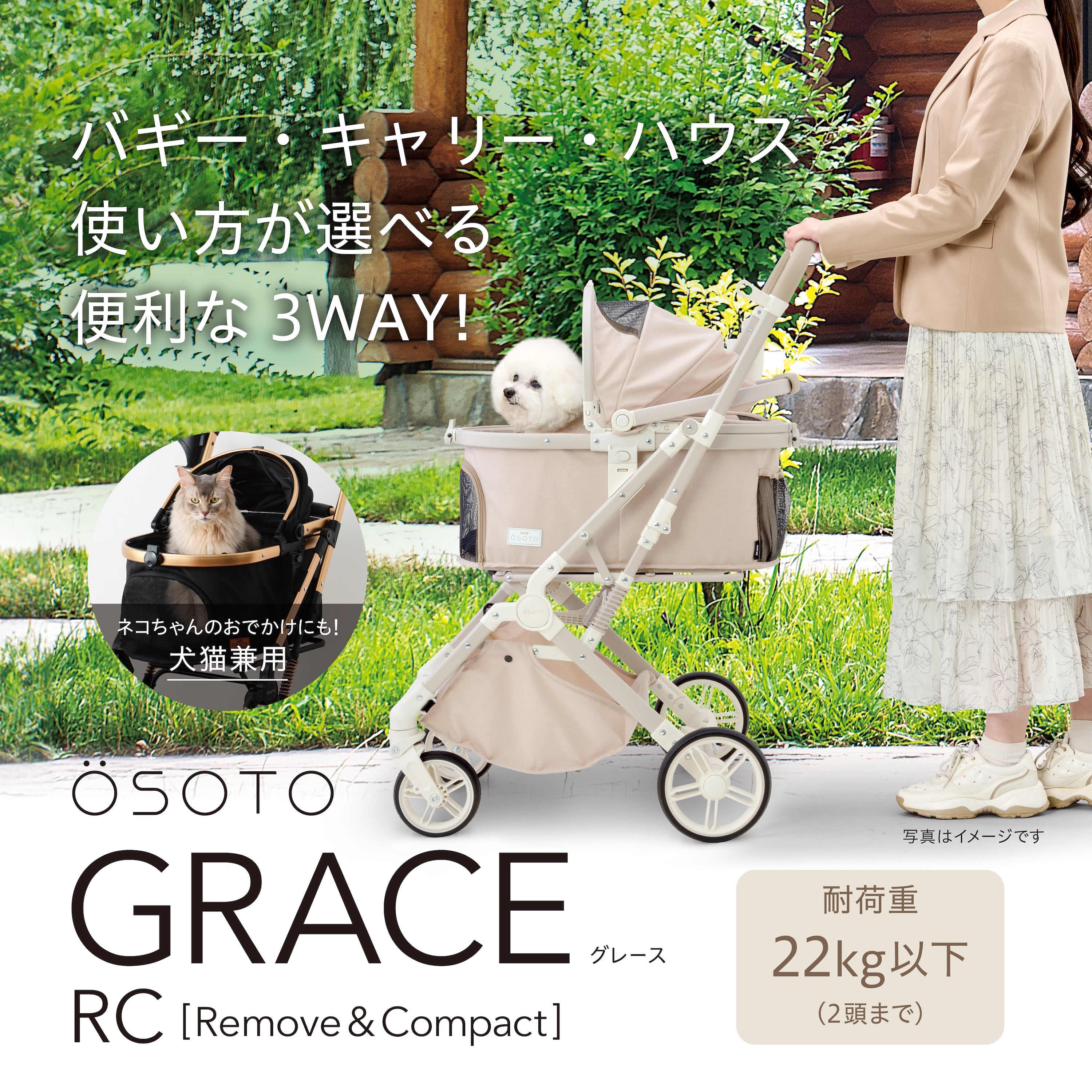 Amazon | Three Great Dogs. One Great Life. | Ehrlich, Fred J