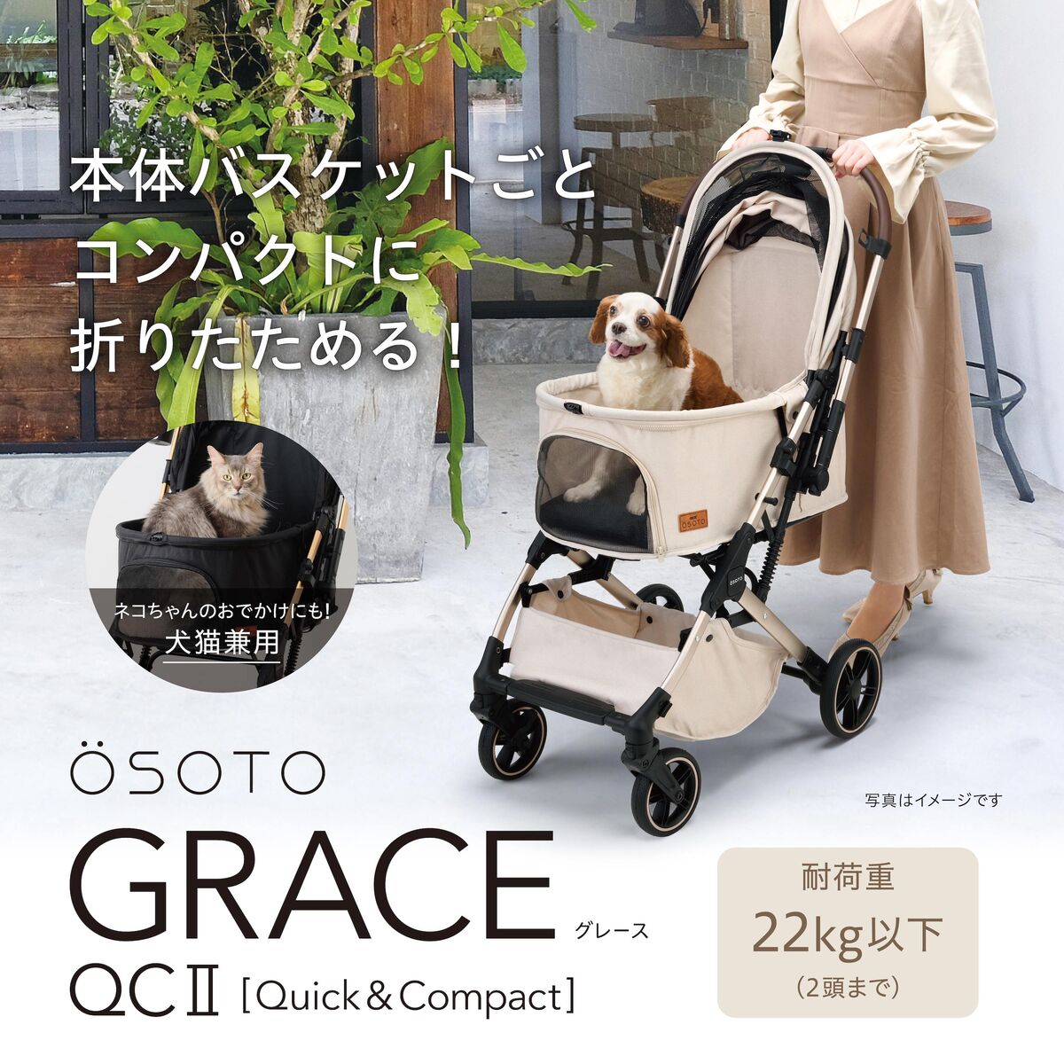 Gaby Schlotz お座りしている犬 作家もの OSOTO GRACE QCⅡ シュクレ