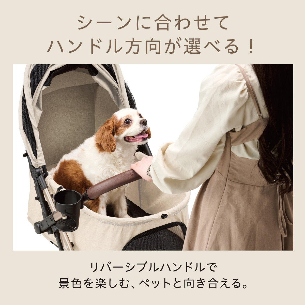 OSOTO GRACE QCⅡ シュクレ