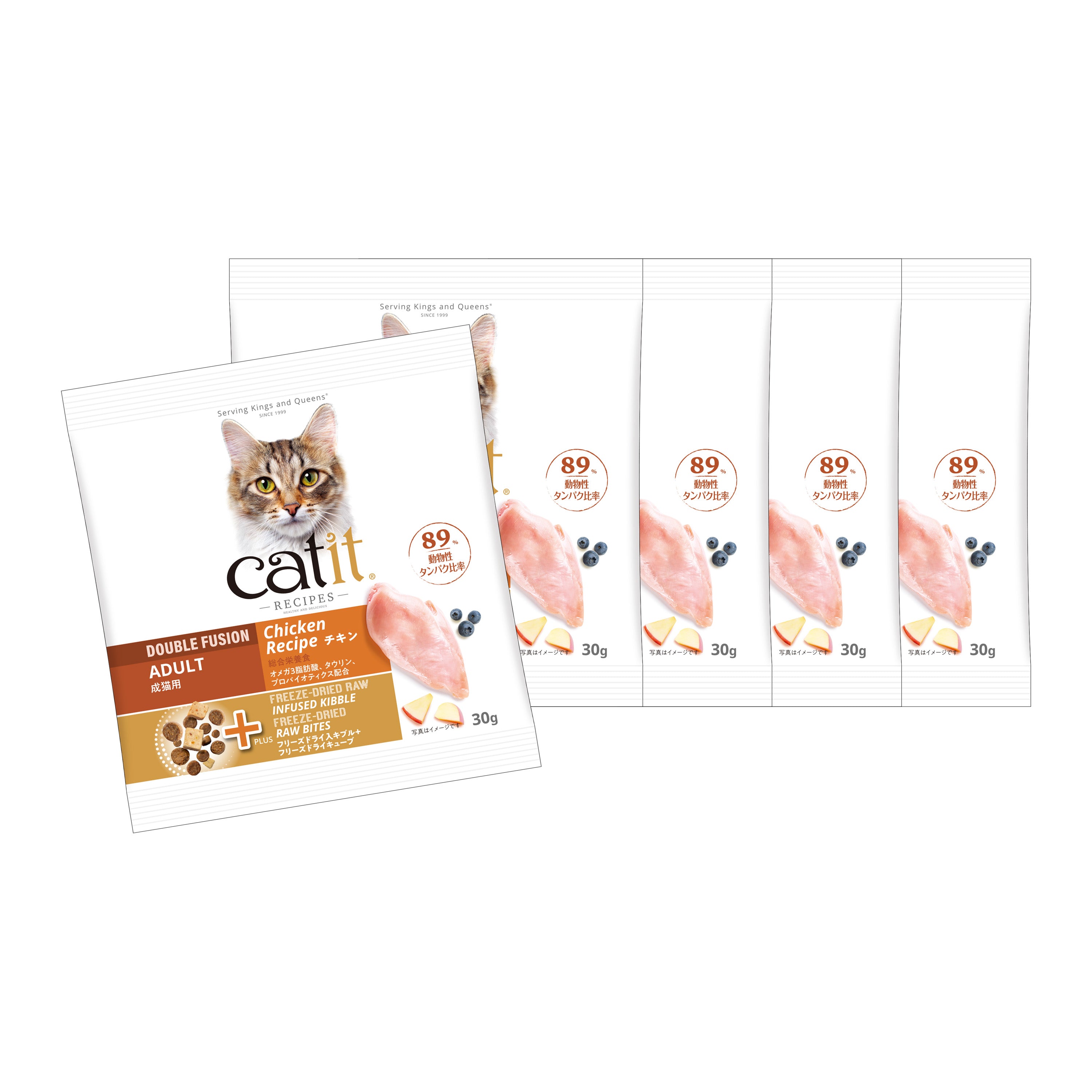 【おためしセット】Catit Recipes ADULT 成猫用 チキン（30g×5袋）