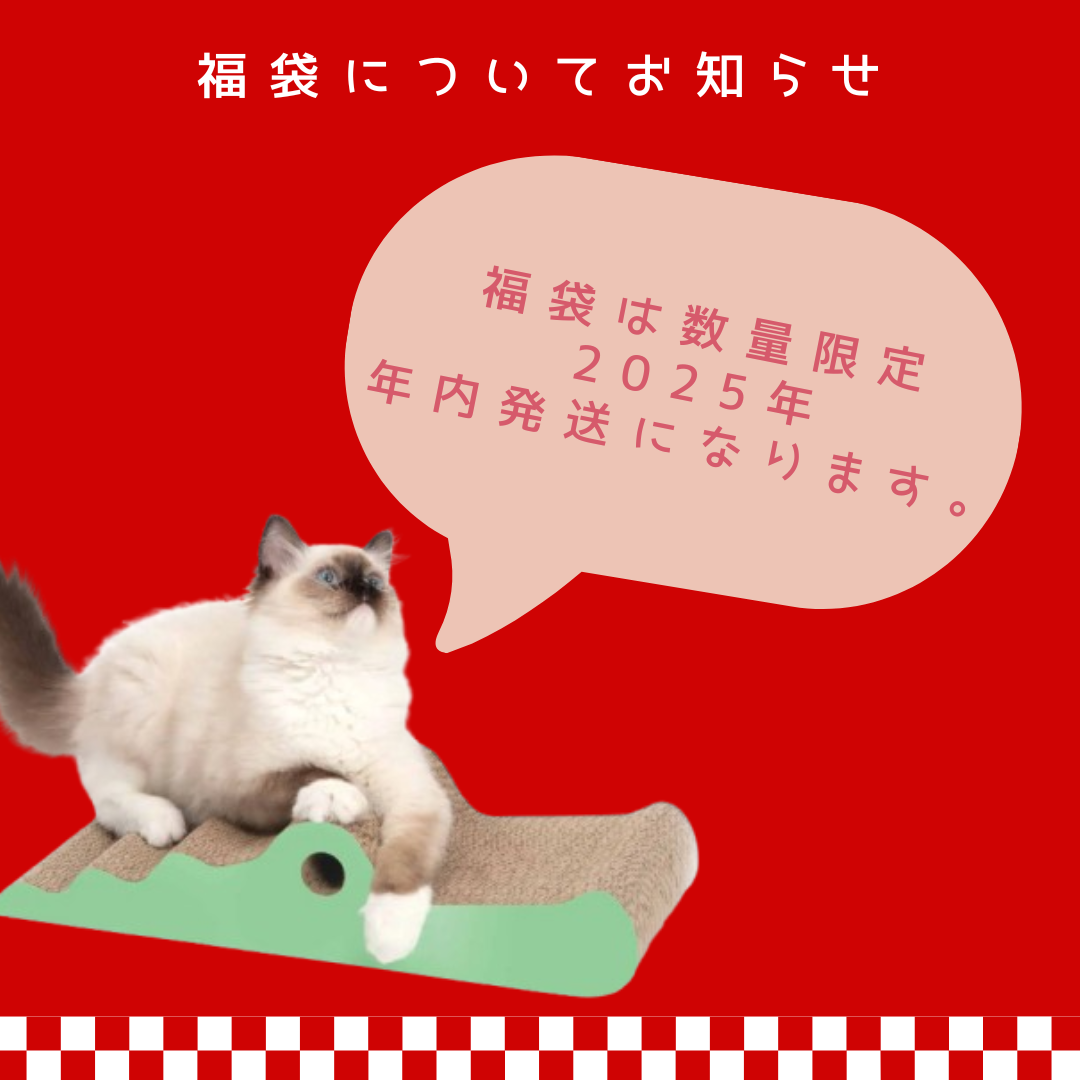 【終売】【福袋】Catitお楽しみ福袋 ランダム爪とぎ1つ入り ※数量限定